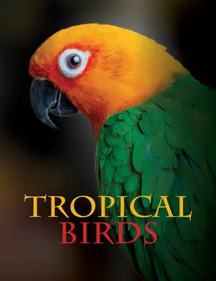 Păsări tropicale - Tropical Birds