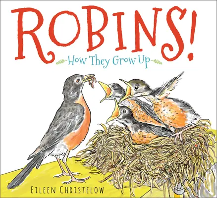 Robins!: Cum cresc - Robins!: How They Grow Up
