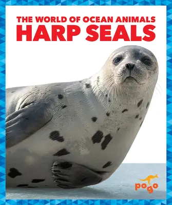 Foci Harp - Harp Seals