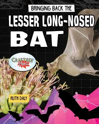 Aducerea înapoi a liliacului cu nas lung - Bringing Back the Lesser Long-Nosed Bat
