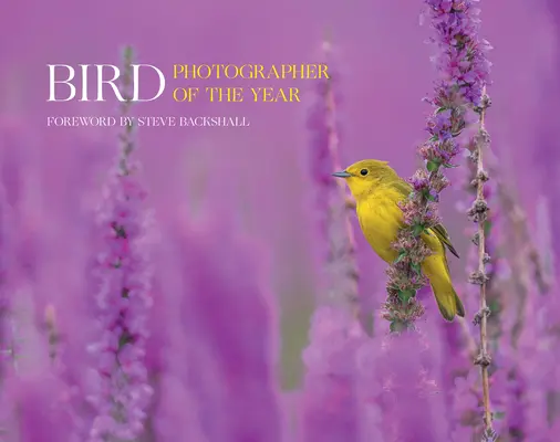 Fotograful de păsări al anului: Colecția 7 - Bird Photographer of the Year: Collection 7