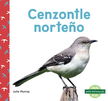 Cenzontle Norteo (Ciocănitoarele nordice) - Cenzontle Norteo (Northern Mockingbirds)