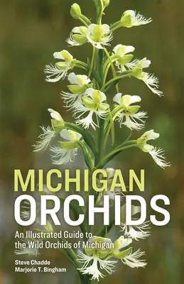 Orhidee din Michigan - Michigan Orchids