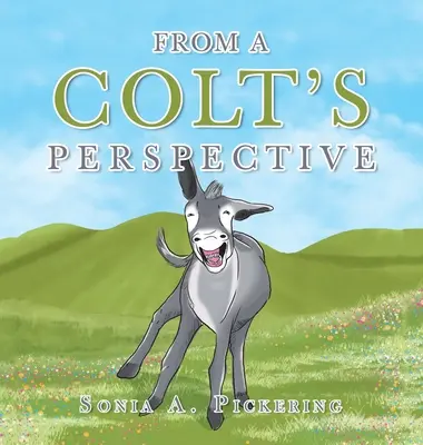 Din perspectiva unui Colt - From a Colt's Perspective
