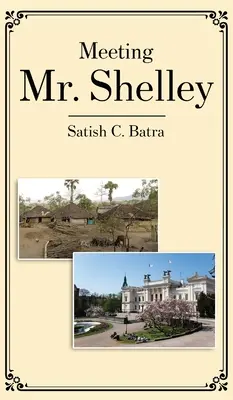 Întâlnirea cu dl Shelley - Meeting Mr. Shelley