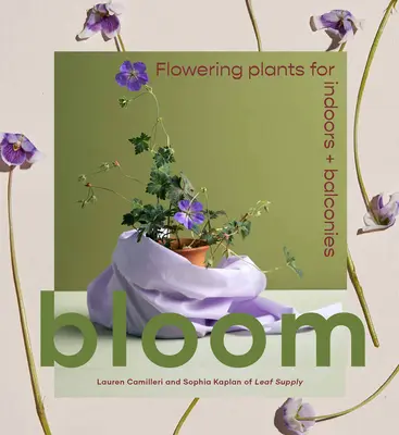 Înflorire: Plante înfloritoare pentru interior și balcoane - Bloom: Flowering Plants for Indoors and Balconies