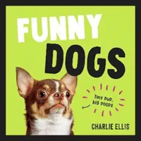 Câini amuzanți - O colecție amuzantă a celor mai prostuți câini din lume și a celor mai relatabile meme-uri - Funny Dogs - A Hilarious Collection of the World's Silliest Dogs and Most Relatable Memes