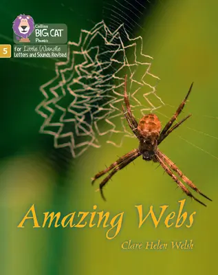Pânze uimitoare - faza 5 set 2 - Amazing Webs - Phase 5 Set 2