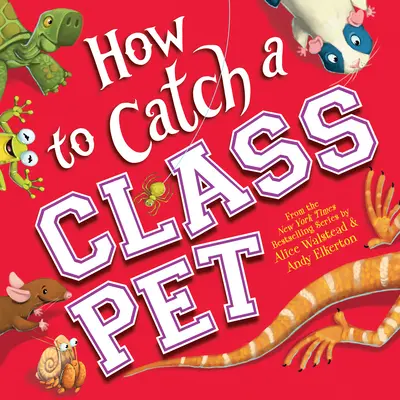 Cum să prinzi un animal de clasă - How to Catch a Class Pet