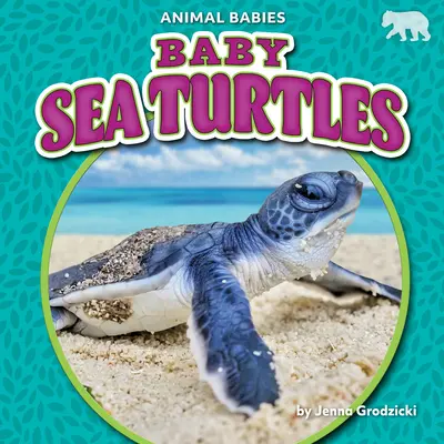 Pui de țestoasă de mare - Baby Sea Turtles