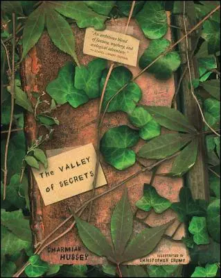 The Valley of Secrets (Valea secretelor) - The Valley of Secrets