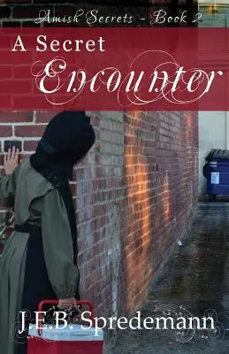 O întâlnire secretă (Amish Secrets #2) - A Secret Encounter (Amish Secrets #2)