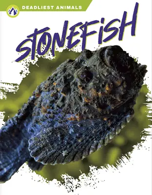 Pește piatră - Stonefish