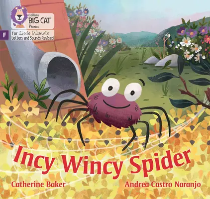 Incy Wincy Spider - Fundamente pentru fonică - Incy Wincy Spider - Foundations for Phonics