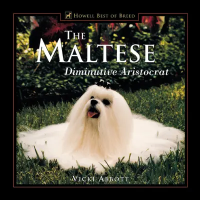 Maltezul: Aristocrat micuț - The Maltese: Diminutive Aristocrat