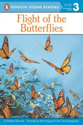 Zborul fluturilor - Flight of the Butterflies