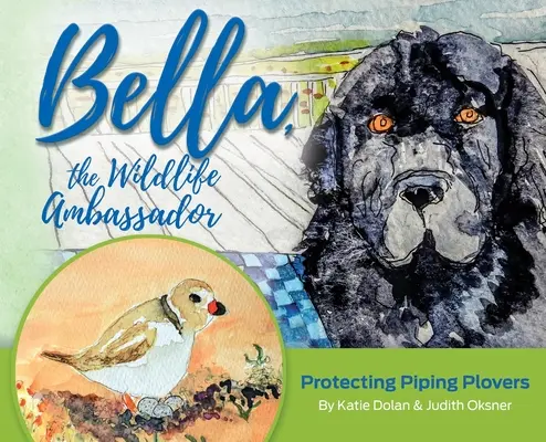 Bella, ambasadorul faunei sălbatice: Protejarea ploșnițelor pițigăiate - Bella, the Wildlife Ambassador: Protecting Piping Plovers
