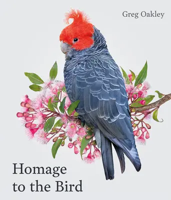 Omagiu păsării - Homage to the Bird