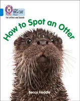 Be an Otter Expert: Band 4/Blue