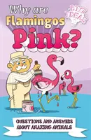 De ce sunt flamingo roz? - Întrebări și răspunsuri despre animale uimitoare (Potter William (Autor)) - Why Are Flamingos Pink? - Questions and Answers About Amazing Animals (Potter William (Author))
