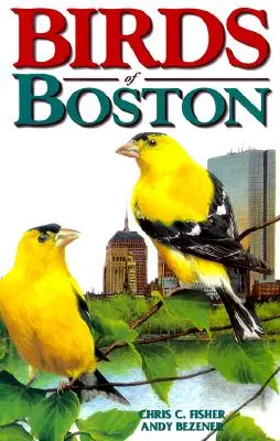 Păsările din Boston - Birds of Boston