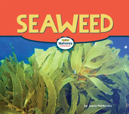 Alge marine - Seaweed