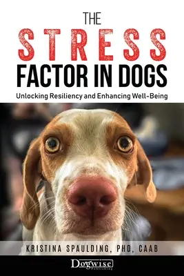 Factorul de stres la câini: Deblocarea rezilienței și sporirea bunăstării - The Stress Factor in Dogs: Unlocking Resiliency and Enhancing Well-Being