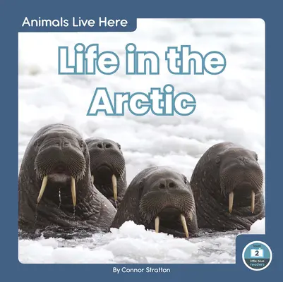 Viața în Arctica - Life in the Arctic
