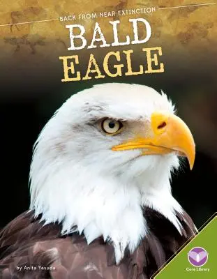 Vulturul chel - Bald Eagle