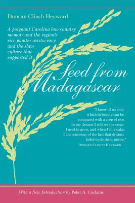 Semințe din Madagascar - Seed from Madagascar