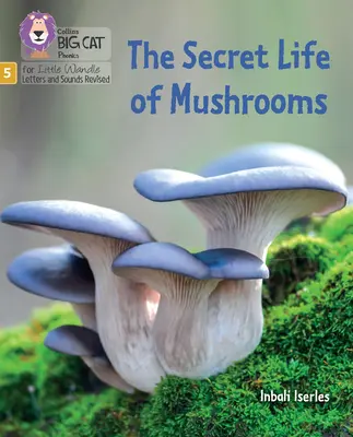 Viața secretă a ciupercilor - Faza 5 Set 4 Întindere și provocare - Secret Life of Mushrooms - Phase 5 Set 4 Stretch and Challenge