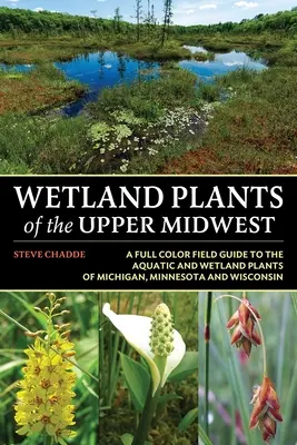 Plante din zonele umede din Upper Midwest - Wetland Plants of the Upper Midwest