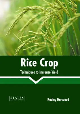 Cultura orezului: Tehnici pentru creșterea randamentului - Rice Crop: Techniques to Increase Yield