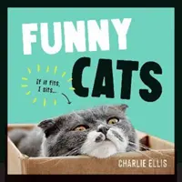Pisici amuzante - O colecție hilară a celor mai amuzante feline din lume și a celor mai relatabile meme-uri - Funny Cats - A Hilarious Collection of the World's Funniest Felines and Most Relatable Memes