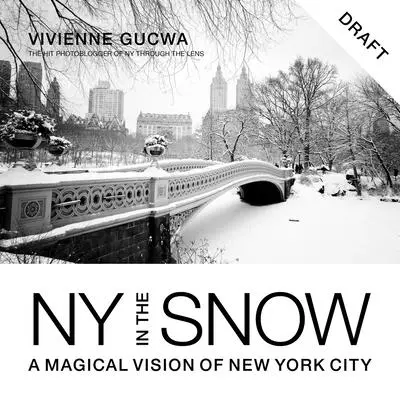 New York în zăpadă: O viziune magică a orașului New York - New York in the Snow: A Magical Vision of New York City