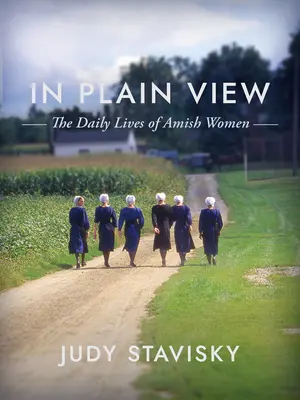 In Plain View: Viața de zi cu zi a femeilor Amish - In Plain View: The Daily Lives of Amish Women