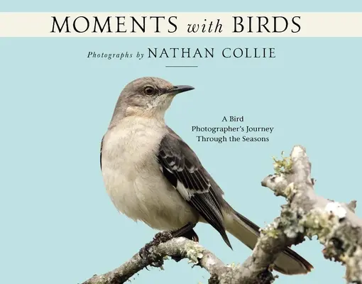 Momente cu păsări: Călătoria unui fotograf de păsări de-a lungul anotimpurilor (A Bird Photographer's Journey Through the Seasons) - Moments with Birds: A Bird Photographer's Journey Through the Seasons