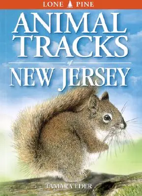 Urme de animale din New Jersey - Animal Tracks of New Jersey
