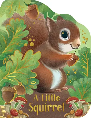 O mică veveriță - A Little Squirrel