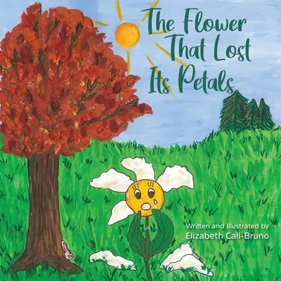 Floarea care și-a pierdut petalele - The Flower That Lost Its Petals