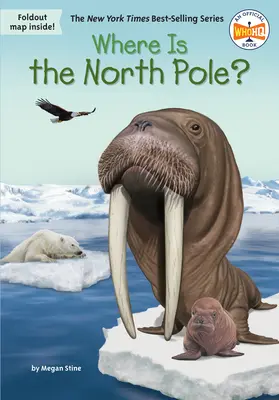 Unde este Polul Nord? - Where Is the North Pole?