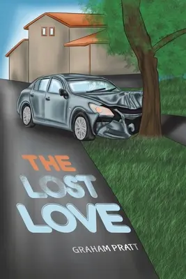 Dragoste pierdută - Lost Love