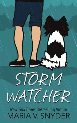 Observatorul furtunii - Storm Watcher