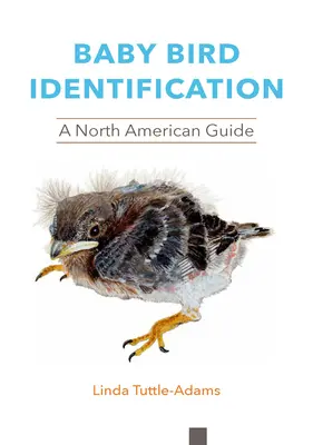 Identificarea puilor de păsări: Un ghid nord-american - Baby Bird Identification: A North American Guide