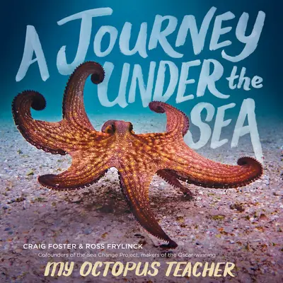 O călătorie sub mare - A Journey Under the Sea