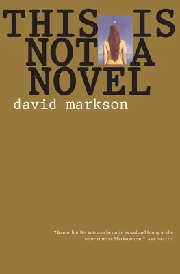 Acesta nu este un roman - This Is Not a Novel