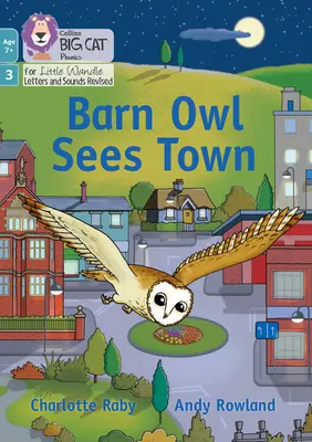Barn Owl Sees Town - Faza 3 Set 1 Blending Practice - Barn Owl Sees Town - Phase 3 Set 1 Blending Practice