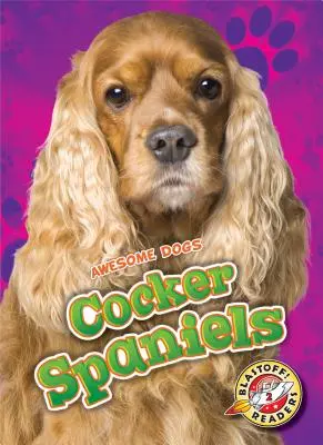 Cocker Spaniel - Cocker Spaniels