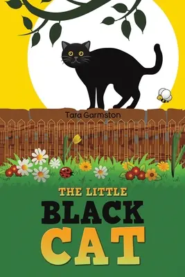 Mica pisică neagră - Little Black Cat