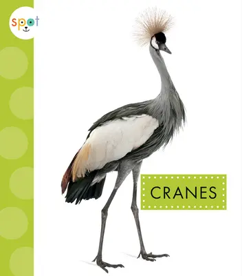 Macarale - Cranes